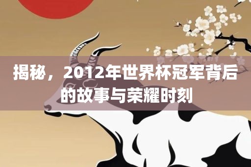 揭秘，2012年世界杯冠军背后的故事与荣耀时刻