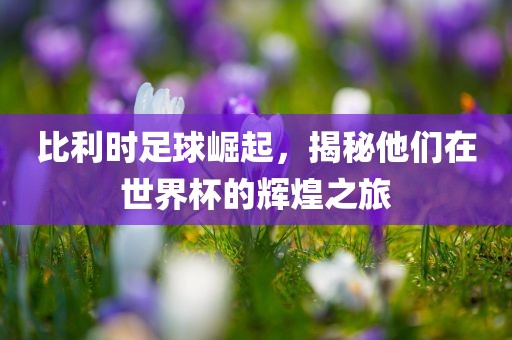 比利时足球崛起，揭秘他们在世界杯的辉煌之旅