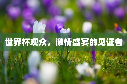 世界杯观众，激情盛宴的见证者