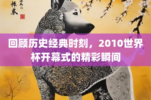 回顾历史经典时刻，2010世界杯开幕式的精彩瞬间