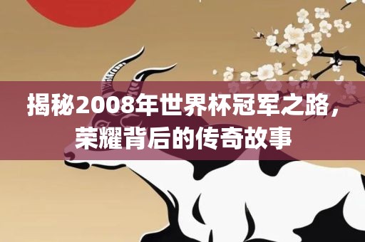 揭秘2008年世界杯冠军之路，荣耀背后的传奇故事