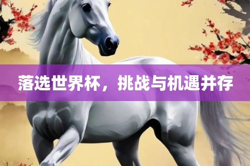 落选世界杯，挑战与机遇并存