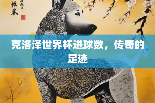 克洛泽世界杯进球数，传奇的足迹