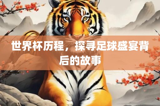 世界杯历程，探寻足球盛宴背后的故事