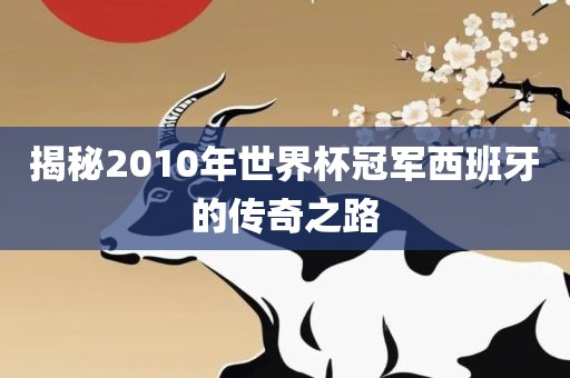 揭秘2010年世界杯冠军西班牙的传奇之路