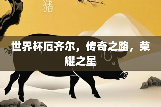 世界杯厄齐尔，传奇之路，荣耀之星