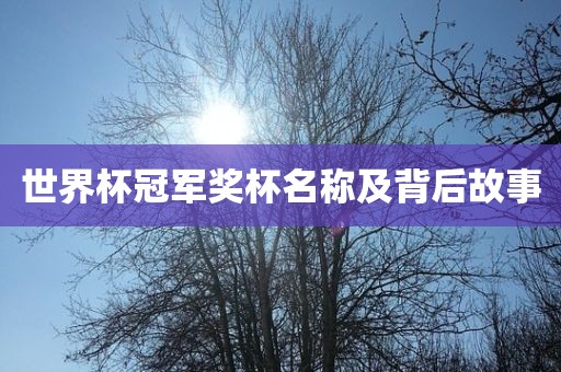 世界杯冠军奖杯名称及背后故事