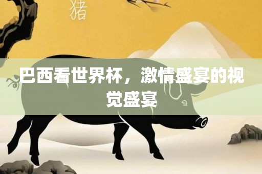巴西看世界杯，激情盛宴的视觉盛宴
