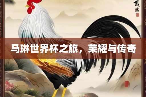 马琳世界杯之旅，荣耀与传奇