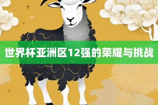 世界杯亚洲区12强的荣耀与挑战