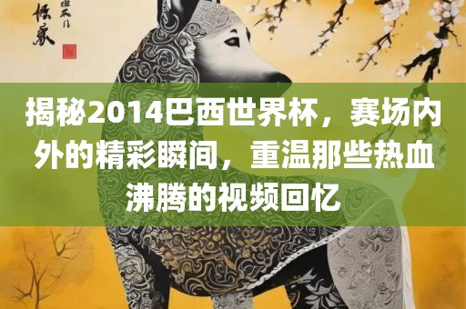 揭秘2014巴西世界杯，赛场内外的精彩瞬间，重温那些热血沸腾的视频回忆