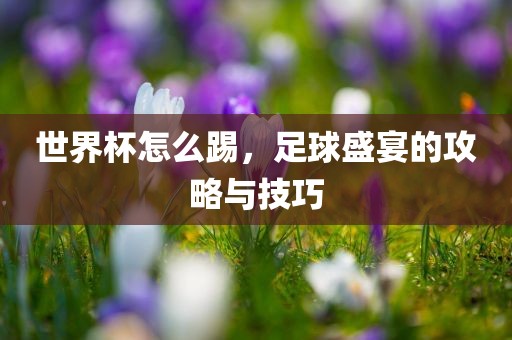 世界杯怎么踢，足球盛宴的攻略与技巧