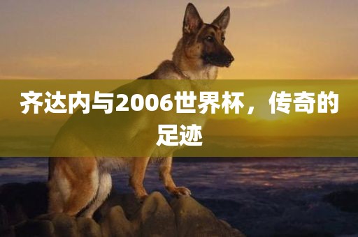 齐达内与2006世界杯，传奇的足迹