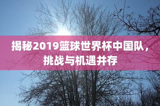 揭秘2019篮球世界杯中国队，挑战与机遇并存