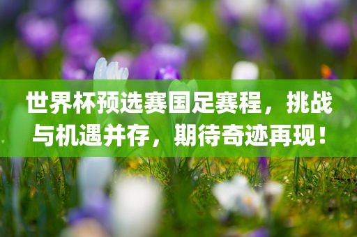 世界杯预选赛国足赛程，挑战与机遇并存，期待奇迹再现！