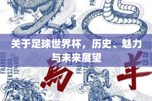 关于足球世界杯，历史、魅力与未来展望