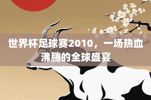 世界杯足球赛2010，一场热血沸腾的全球盛宴