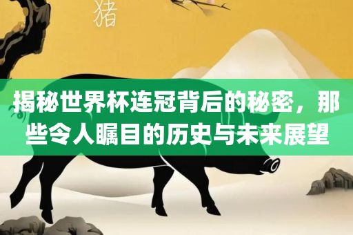 揭秘世界杯连冠背后的秘密，那些令人瞩目的历史与未来展望