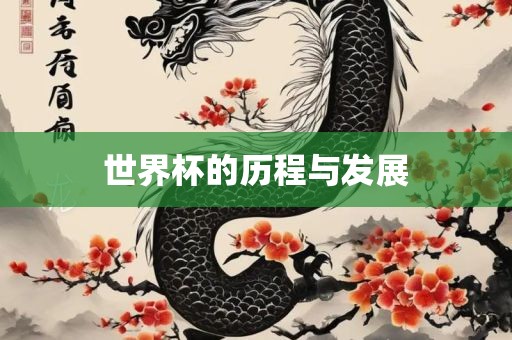 世界杯的历程与发展
