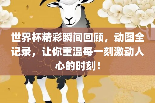 世界杯精彩瞬间回顾，动图全记录，让你重温每一刻激动人心的时刻！