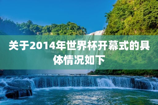 关于2014年世界杯开幕式的具体情况如下