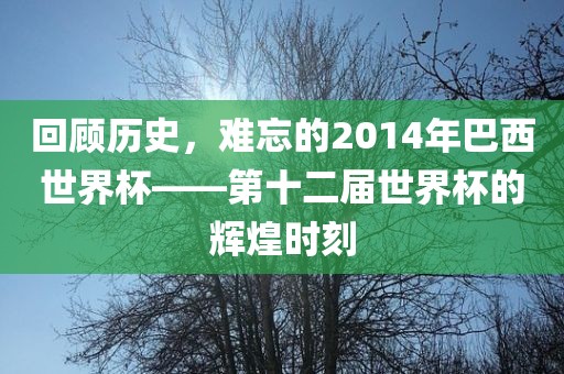回顾历史，难忘的2014年巴西世界杯——第十二届世界杯的辉煌时刻