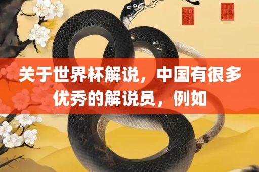 关于世界杯解说，中国有很多优秀的解说员，例如
