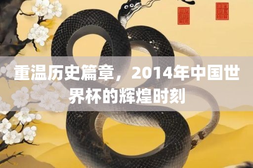 重温历史篇章，2014年中国世界杯的辉煌时刻