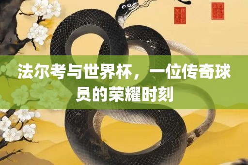 法尔考与世界杯，一位传奇球员的荣耀时刻