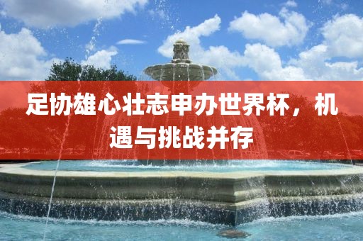 足协雄心壮志申办世界杯，机遇与挑战并存