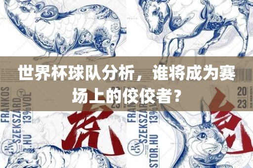 世界杯球队分析，谁将成为赛场上的佼佼者？