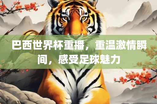 巴西世界杯重播，重温激情瞬间，感受足球魅力