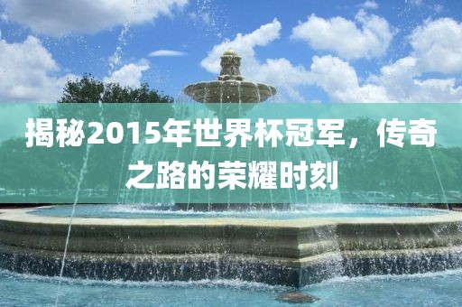 揭秘2015年世界杯冠军，传奇之路的荣耀时刻