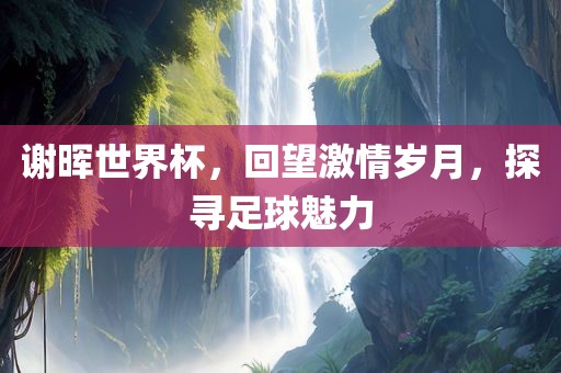 谢晖世界杯，回望激情岁月，探寻足球魅力