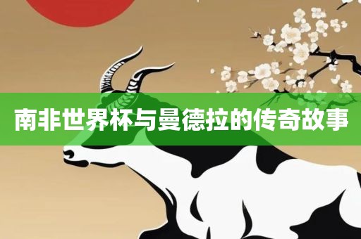 南非世界杯与曼德拉的传奇故事