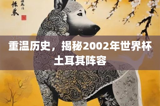 重温历史，揭秘2002年世界杯土耳其阵容