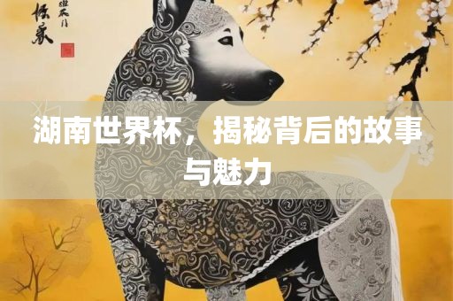湖南世界杯，揭秘背后的故事与魅力