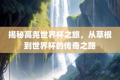 揭秘高尧世界杯之旅，从草根到世界杯的传奇之路