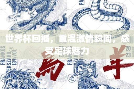 世界杯回播，重温激情瞬间，感受足球魅力