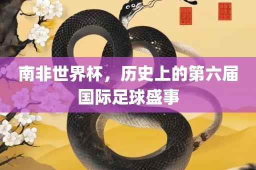 南非世界杯，历史上的第六届国际足球盛事