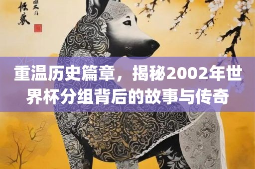 重温历史篇章，揭秘2002年世界杯分组背后的故事与传奇