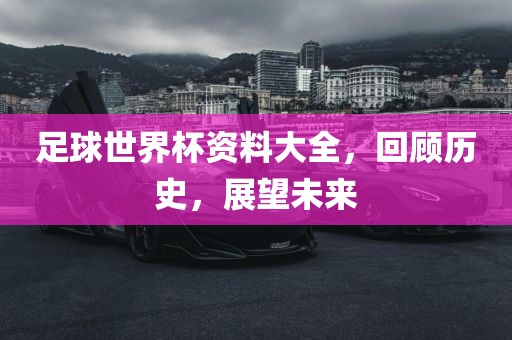足球世界杯资料大全，回顾历史，展望未来