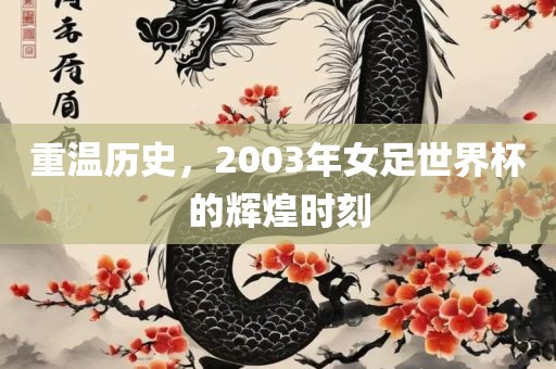 重温历史，2003年女足世界杯的辉煌时刻