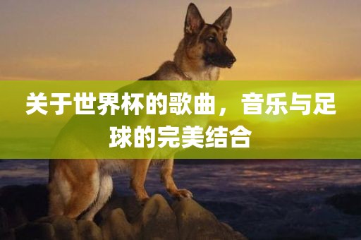 关于世界杯的歌曲，音乐与足球的完美结合