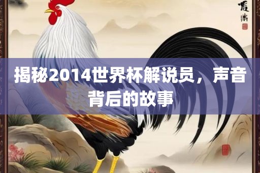 揭秘2014世界杯解说员，声音背后的故事