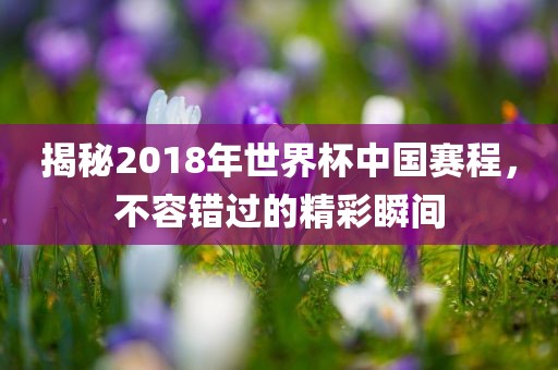 揭秘2018年世界杯中国赛程，不容错过的精彩瞬间