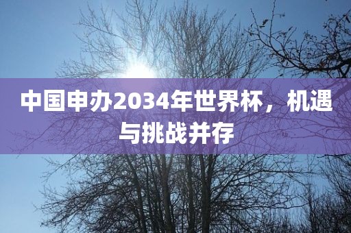 中国申办2034年世界杯，机遇与挑战并存