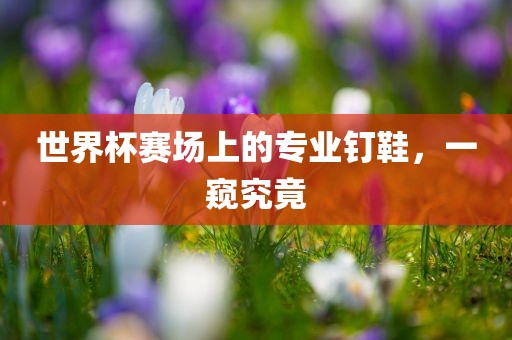 世界杯赛场上的专业钉鞋，一窥究竟