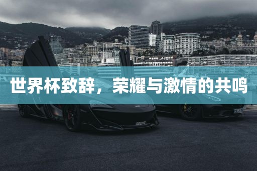 世界杯致辞，荣耀与激情的共鸣