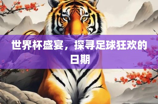 世界杯盛宴，探寻足球狂欢的日期